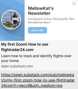 Mellow Kat Substack